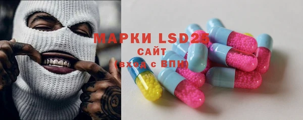 шишки Алзамай