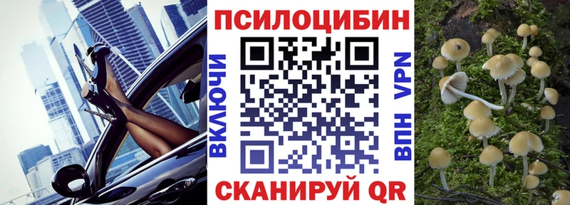 закладки  Игра  Псилоцибиновые грибы Magic Shrooms 